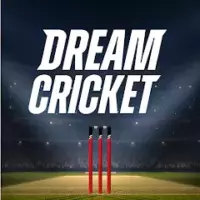 Fehler Dream Cricket 2025